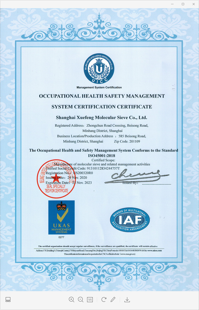 中国 Shanghai Snowpeak Molecular Sieves Co. Ltd 認証